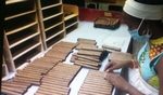 Fábrica de tabacos sanluisera trabaja con la mirada puesta en el cumplimiento del plan 2022 3 fca tabaco
