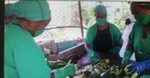 Para tener crecimientos económicos se trabaja en San Luis 3 san luis1