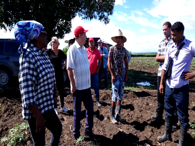 “Sí, se puede”: la convicción de los productores en Contramaestre (+Video) 2 SI SE PUEDE 2 1
