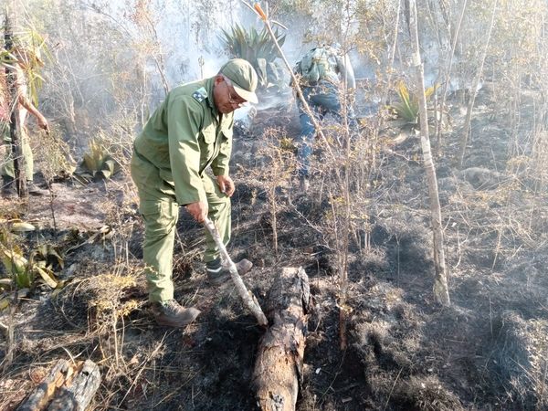 Movilizan fuerzas populares para enfrentar incendio en inmediaciones de Santiago de Cuba 4 334001141 750438256688205 7974357087705949767 n 1