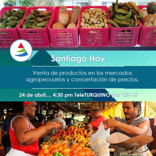 Programa «Santiago Hoy» analizará la venta de productos en los mercados agropecuarios y concertación de precios