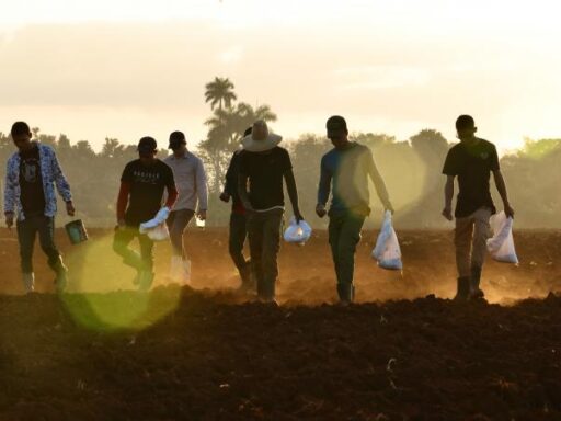 Trabajo voluntario: por el bien propio y el de los demás