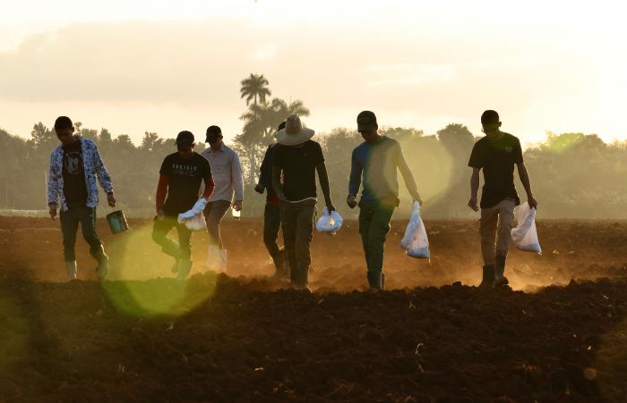 Trabajo voluntario: por el bien propio y el de los demás