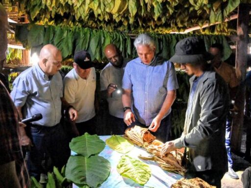 La tierra, trabajada en equipo, da mejores frutos