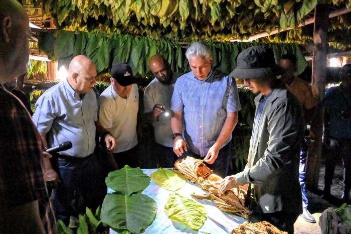 La tierra, trabajada en equipo, da mejores frutos