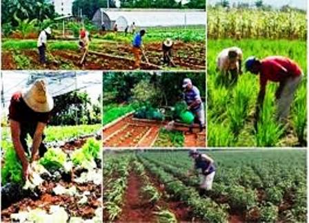 17 de mayo, día del campesino cubano