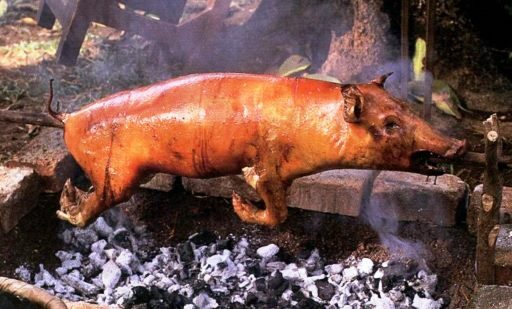 Tradición navideña: celebraciones