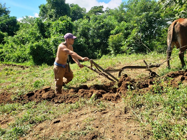 Imprescindible el desarrollo y sostenibilidad en las zonas montañosas de Cuba 1 plan turquino 3