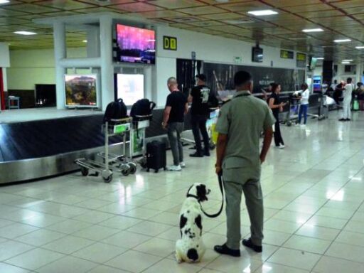 Nuevos garantes de la seguridad y el control en frontera