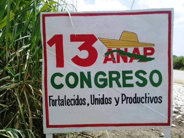 Lilian Serrano, delegada directa al 13 Congreso campesino (+Fotos) 1 lilian serrano 4