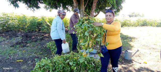 Historia y compromiso se combinan para producir alimentos en estructura campesina sanluisera 2 sabino pupo5