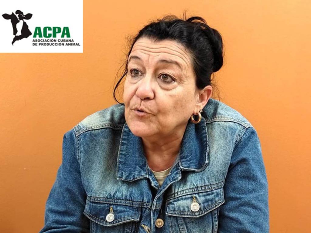 Organizaciones de Francia y Cuba impulsan proyectos de impacto social