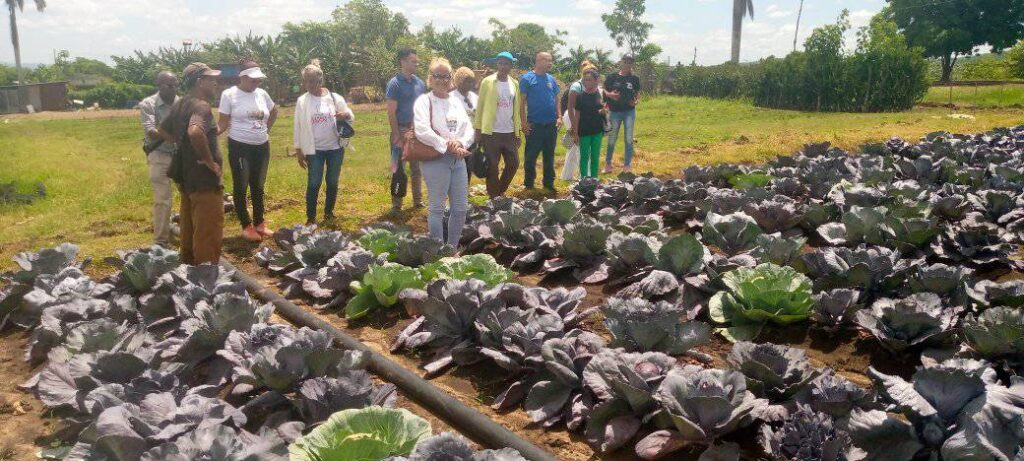 Portada 4 Recorren áreas de San Luis diputados al Parlamento cubano(+Fotos)