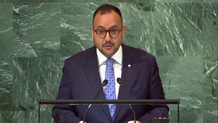 Amigos de la Carta de la ONU demandan medidas urgentes por Palestina
