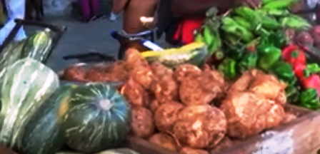 Dedican ferias agropecuarias al inicio del verano