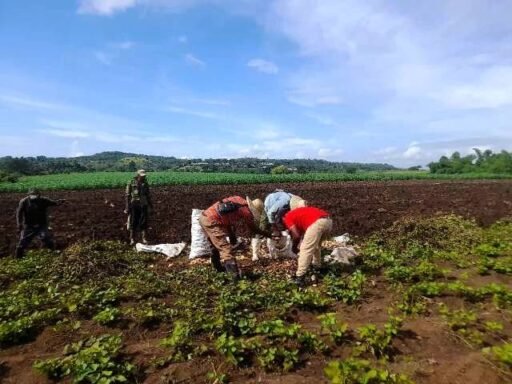 Aumentar los niveles productivos, tarea inmediata del campesinado sanluisero