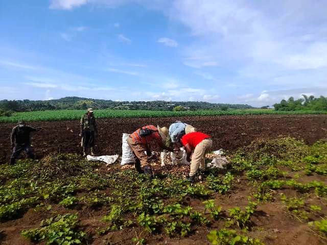 Aumentar los niveles productivos, tarea inmediata del campesinado sanluisero