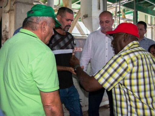 Valdés Mesa: Cuba necesita aumentar la producción de arroz