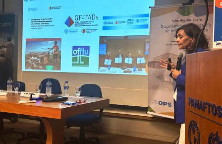 Participa Cuba en taller regional sobre influenza zoonótica