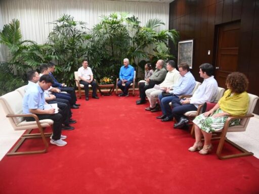 Recibió Díaz-Canel a delegación de empresarios chinos del sector azucarero