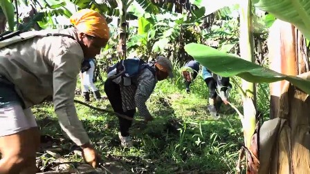 La FMC en alianza estratégica con la Asociación Nacional de Agricultores Pequeños