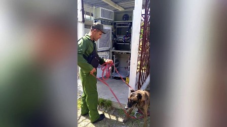 Presta especial atención Empresa de Telecomunicaciones de Santiago a robos en radiobases