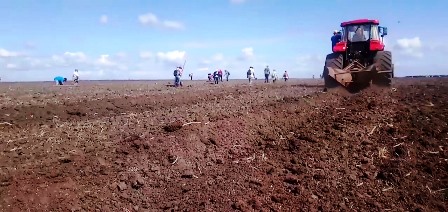 Avanza campaña de siembra de primavera en Contramaestre a pesar de obstáculos