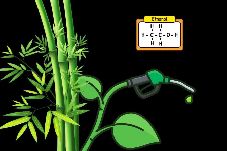 India con primera planta de producción de etanol a base de bambú