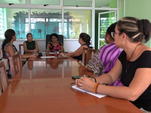 Avanza en Santiago de Cuba la XVII Comprobación Nacional al Control Interno