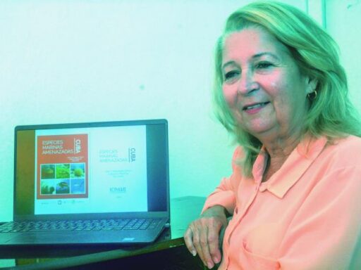 ¿Cuáles son las especies marinas amenazadas en Cuba?