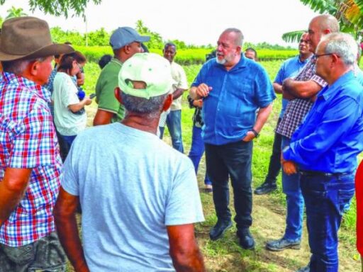 La herramienta principal es el contacto con el pueblo