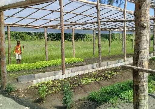 Proponen cambios en sistema agroforestal sanluisero para generar más ingresos