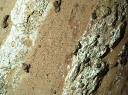 NASA halla posible señal de vida microbiana en Marte