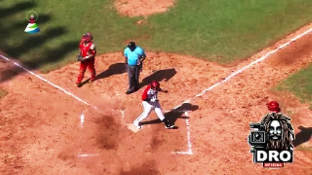 Avispas caen en tabla de posiciones de la Serie Nacional