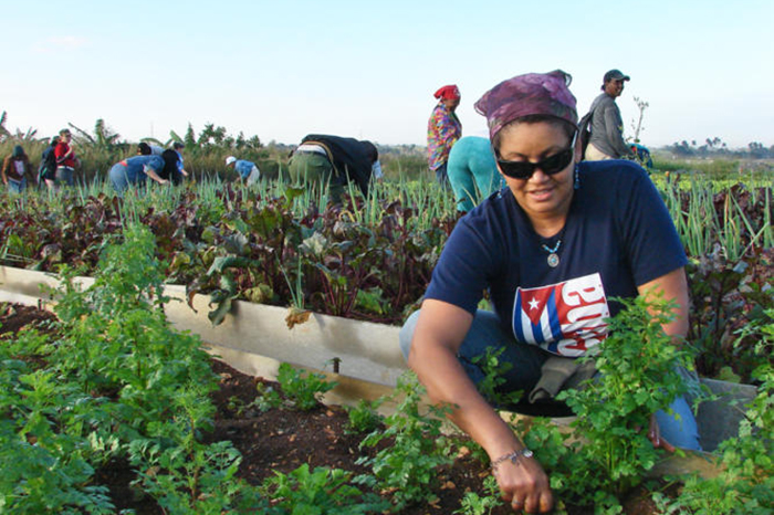 Convoca CTC a jornada nacional de trabajo voluntario
