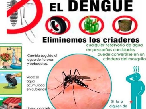 Santiago de Cuba Intensifica Fumigación contra las epidemias