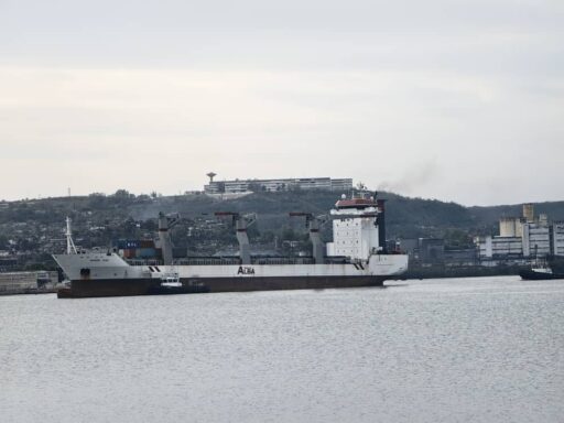 El continuo legado de hermandad entre Venezuela y Cuba