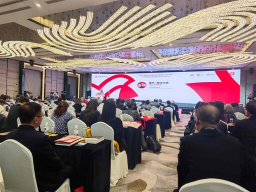 Guerra antifacista y orden mundial centran foro de Sur Global en China