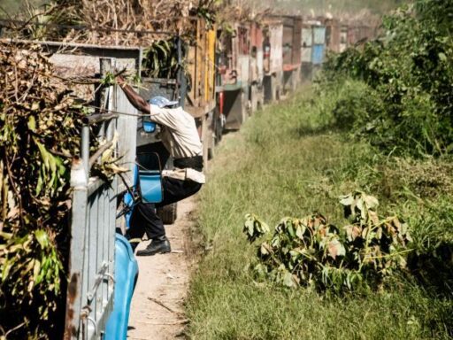 El camino de «los palos» rotos