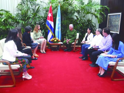 Recibió Díaz-Canel a Relatora Especial del Consejo de Derechos Humanos de la ONU
