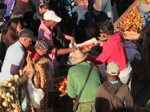 Feria de Fin de Año en Tercer Frente: entre la abundancia y los desafíos del bolsillo