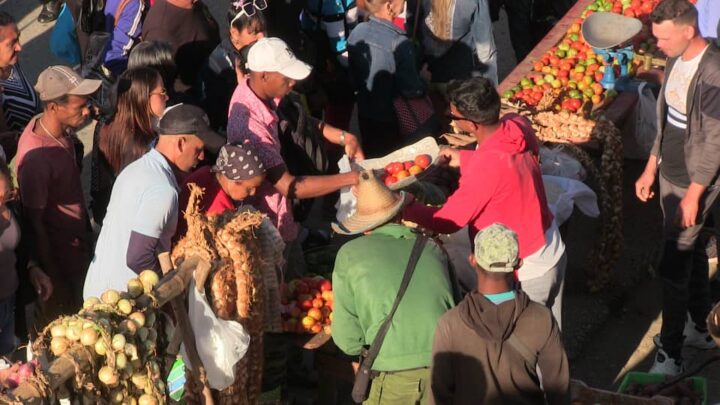 Feria de Fin de Año en Tercer Frente: entre la abundancia y los desafíos del bolsillo