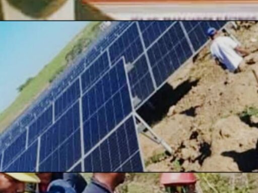 La Luz que Nació dos Veces: De la Firme Tinta a los Paneles del Sol