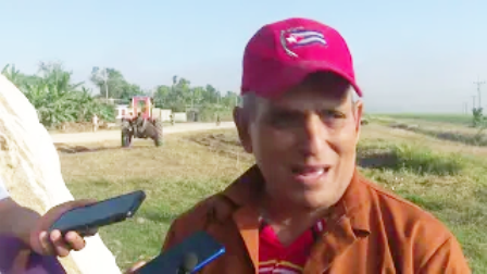 Potencian en Santiago de Cuba siembra de arroz