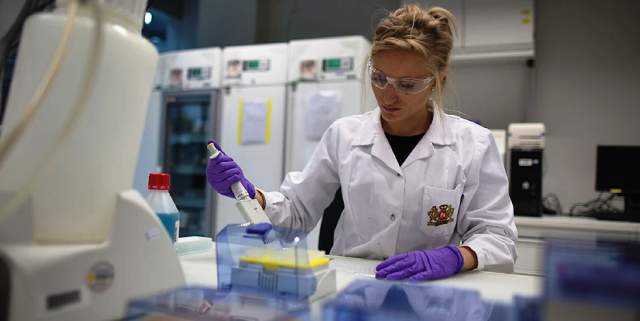 Descubren células que suprimen dolor