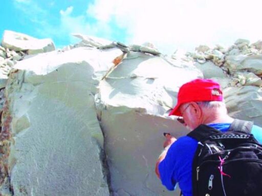 La impronta científica del doctor Manuel Iturralde