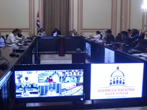 Evalúa Consejo de Estado Programa Económico y Social 2026 (+ Fotos)