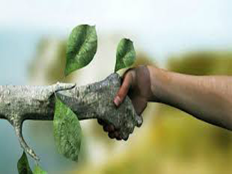 Asegurar armonía entre la naturaleza y el hombre (+Audio)