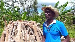 Producción de carbón en Songo La Maya se destina a la venta a la población, entidades estatales y con miras a la exportación