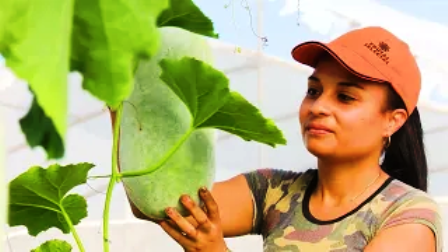 Contribuyen mujeres santiagueras a la producción de alimentos del territorio